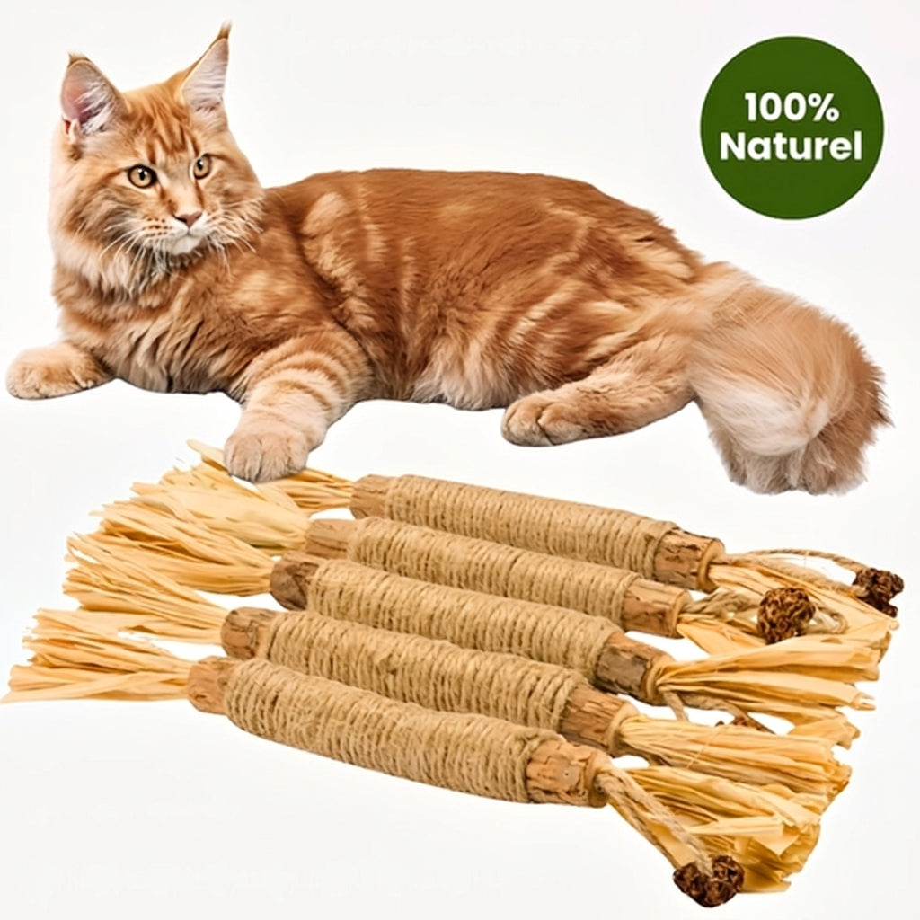 Tapaka® Bâtonnets dentaires naturels au matatabi