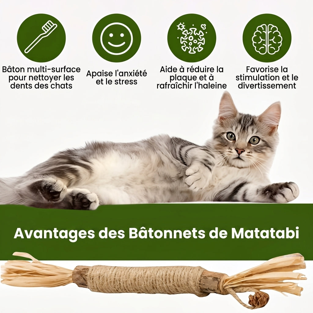 Tapaka® Bâtonnets dentaires naturels au matatabi